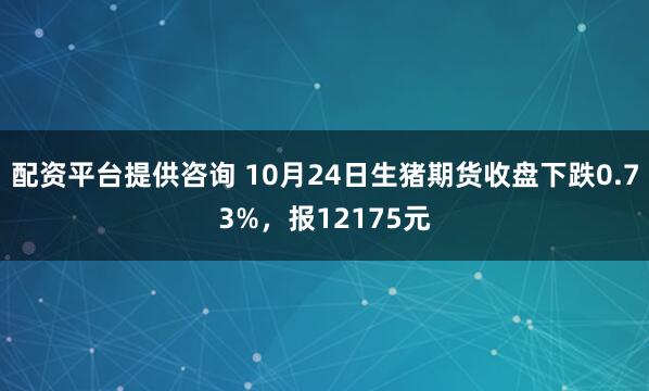 配资平台提供咨询 10月24日生猪期货收盘下跌0.73%，报12175元