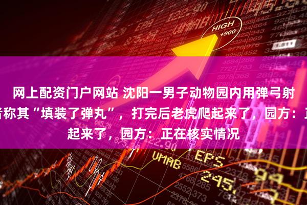 网上配资门户网站 沈阳一男子动物园内用弹弓射老虎，目击者称其“填装了弹丸”，打完后老虎爬起来了，园方：正在核实情况